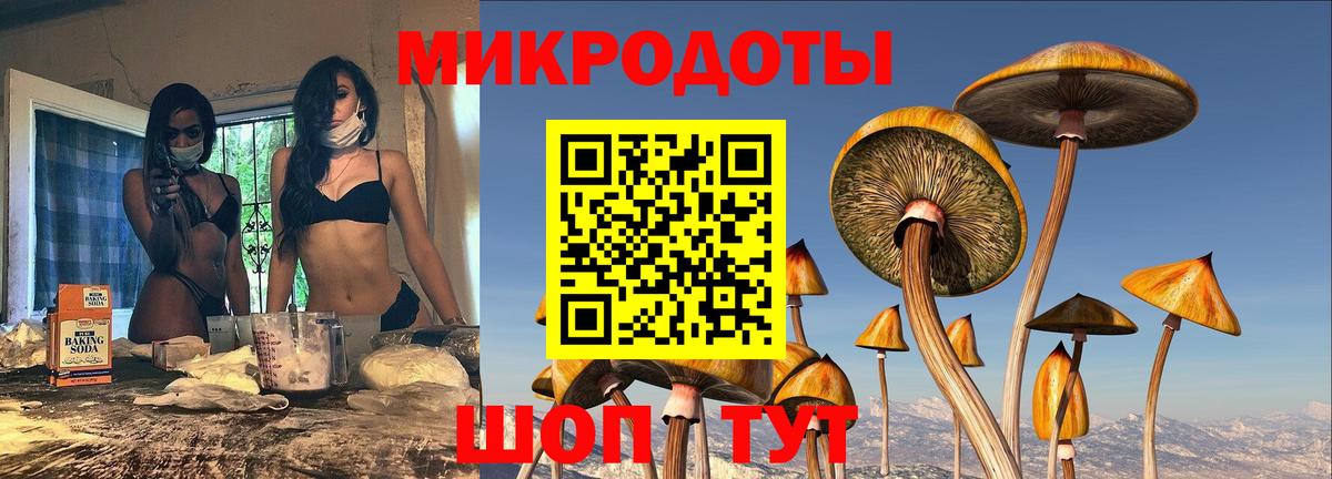 Галлюциногенные грибы Psilocybe  Псилоцибиновые грибы MAGIC MUSHROOMS  Вход с VPN  Красноармейск 